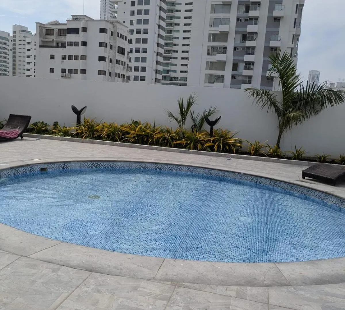 Apartamento En Bocagrande Cartagena